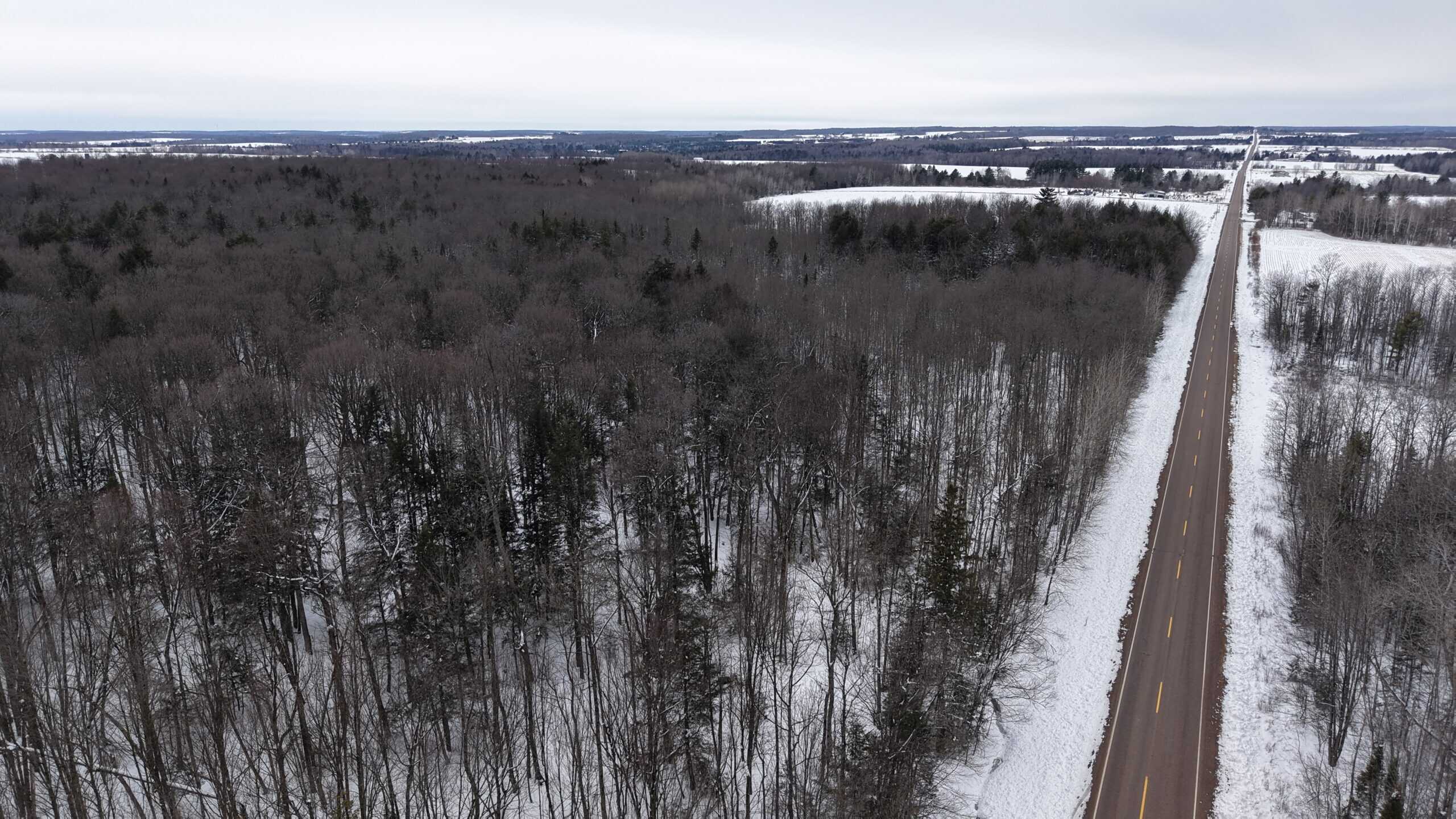 43+/-  Acre Marathon County Hunting, Timber and Rec Tract For Sale