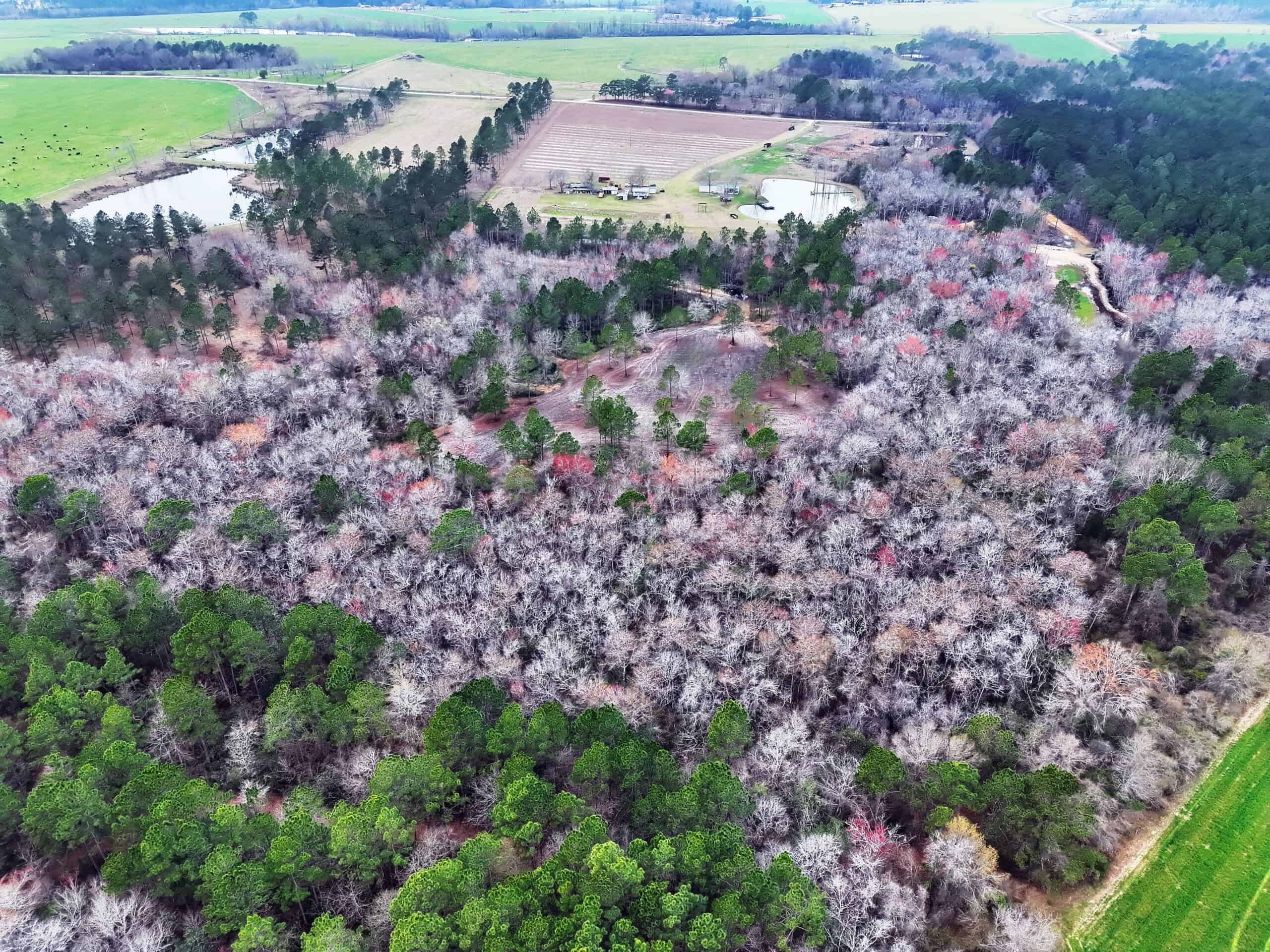 This 38 acres offers a hunting retreat or recreational getaway in Worth Cty GA