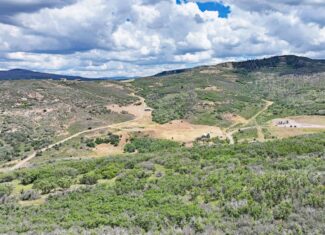 36 Acres in Harrison Creek, Collbran,  CO