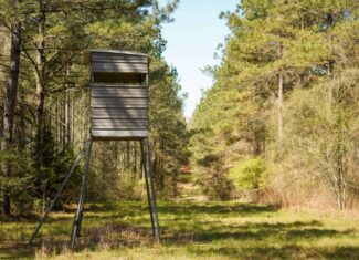 Northeast Lincoln Parish Timberland for Sale