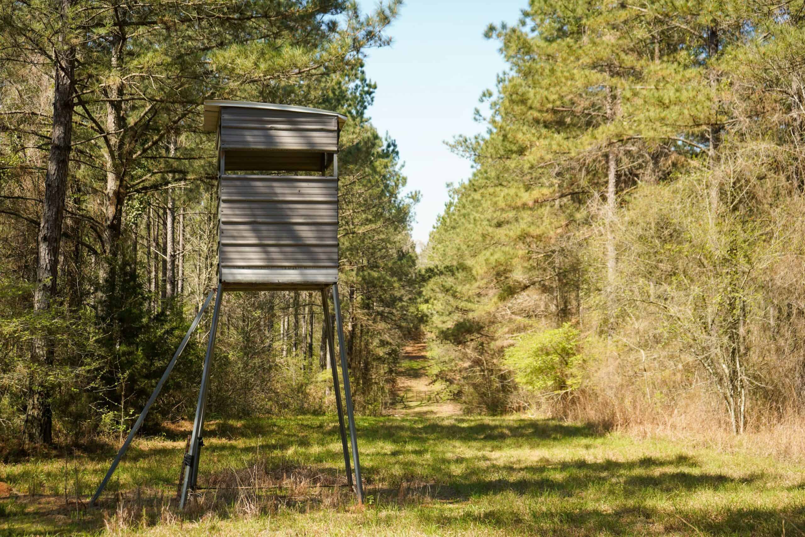 Northeast Lincoln Parish Timberland for Sale