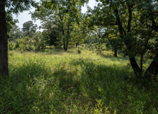 Catcher Ranch: 785 ± Acre Conservation Ranch & Trophy Whitetail Hunting Property Near Stuart, Oklahoma