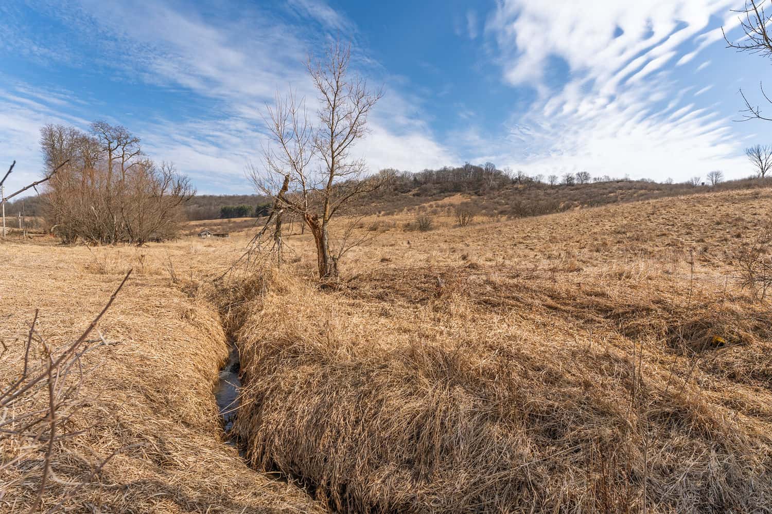 50 Acre Recreational -Hunting Land For Sale Richland County WI