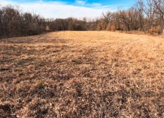 19± Acres of Land for Sale in Daviess County, Missouri