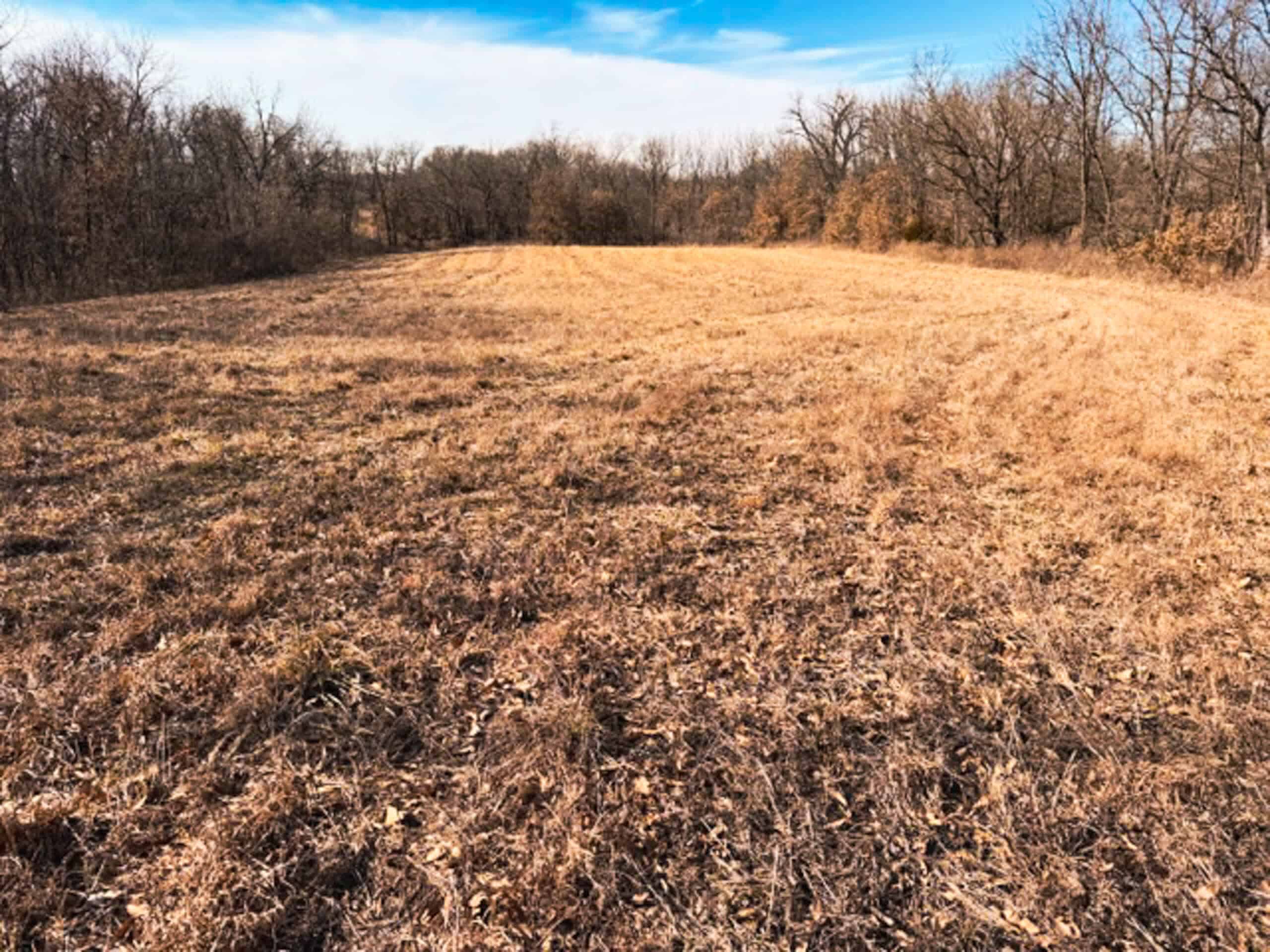 19± Acres of Land for Sale in Daviess County, Missouri