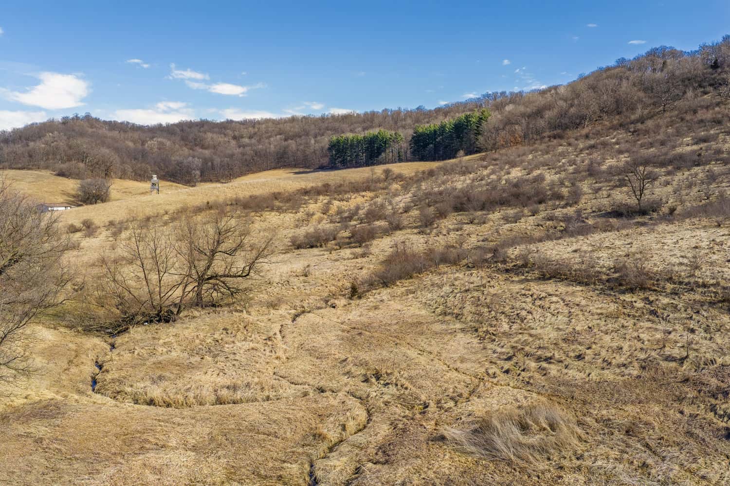 50 Acre Recreational -Hunting Land For Sale Richland County WI