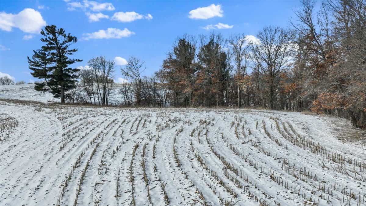 36.8± Acre Executive Estate in the Rolling Countryside of Jackson County