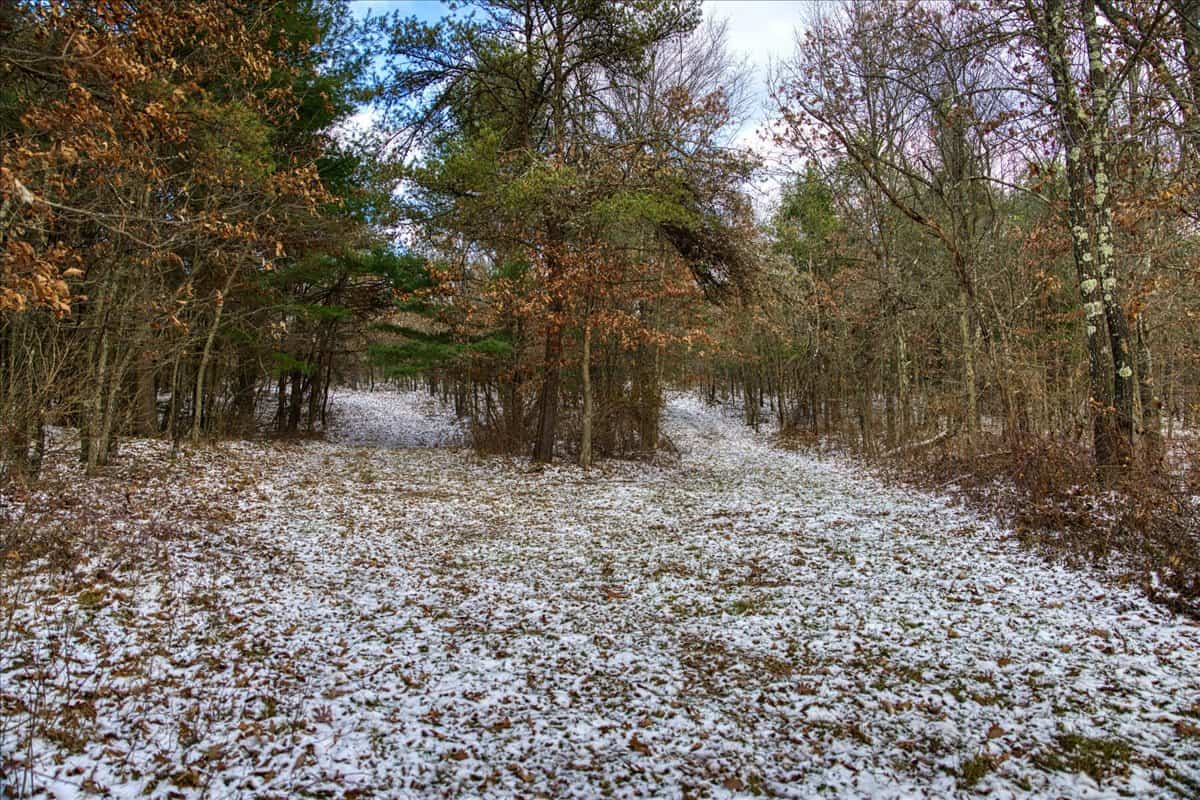 1565 Hwy 71 – Sparta, Wisconsin | 126.25± Acres | Monroe County