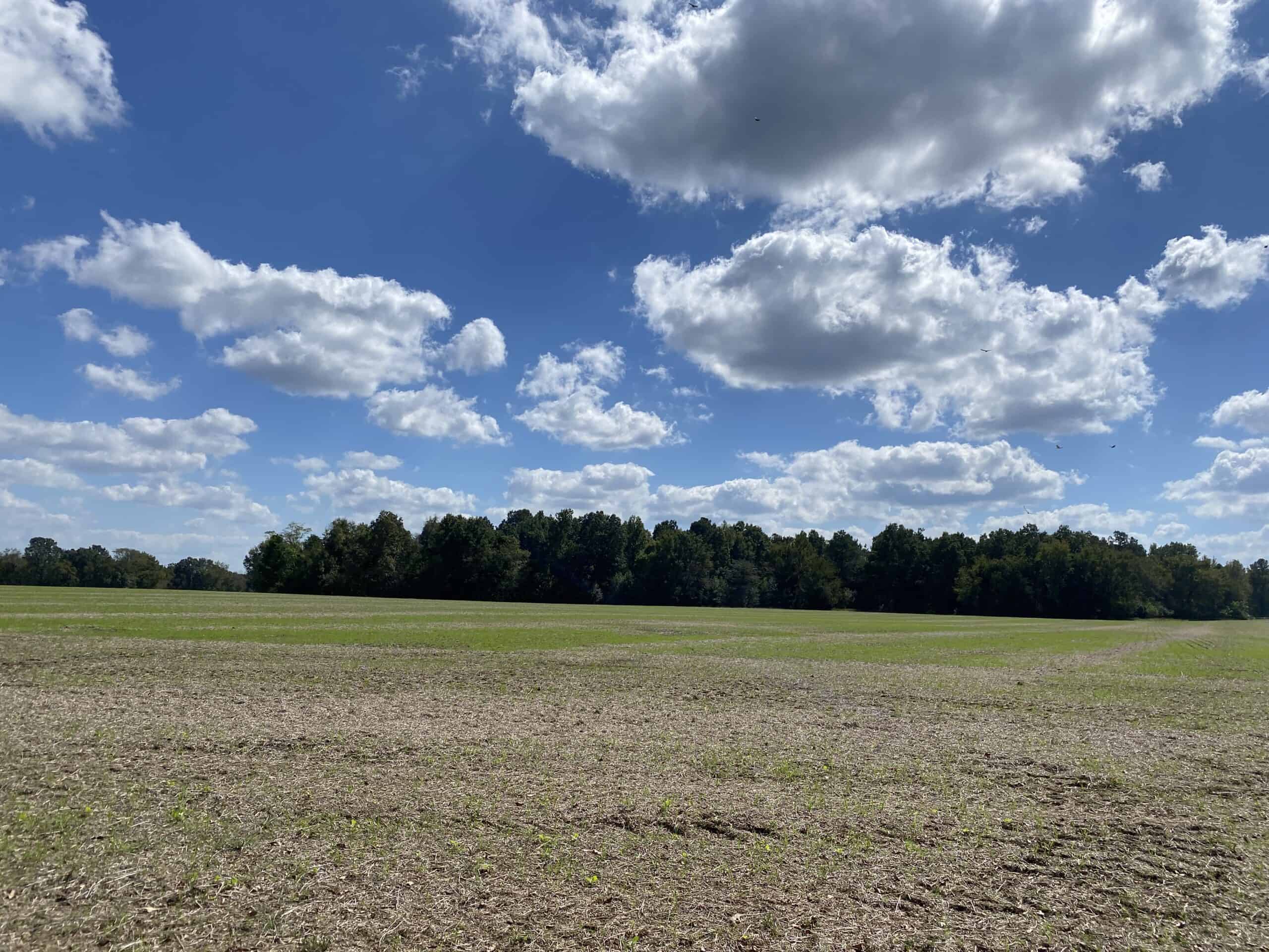 300 ACRE+/- PRIVATE ESTATE FOR SALE IN TN, 2 HOMES, LAKE