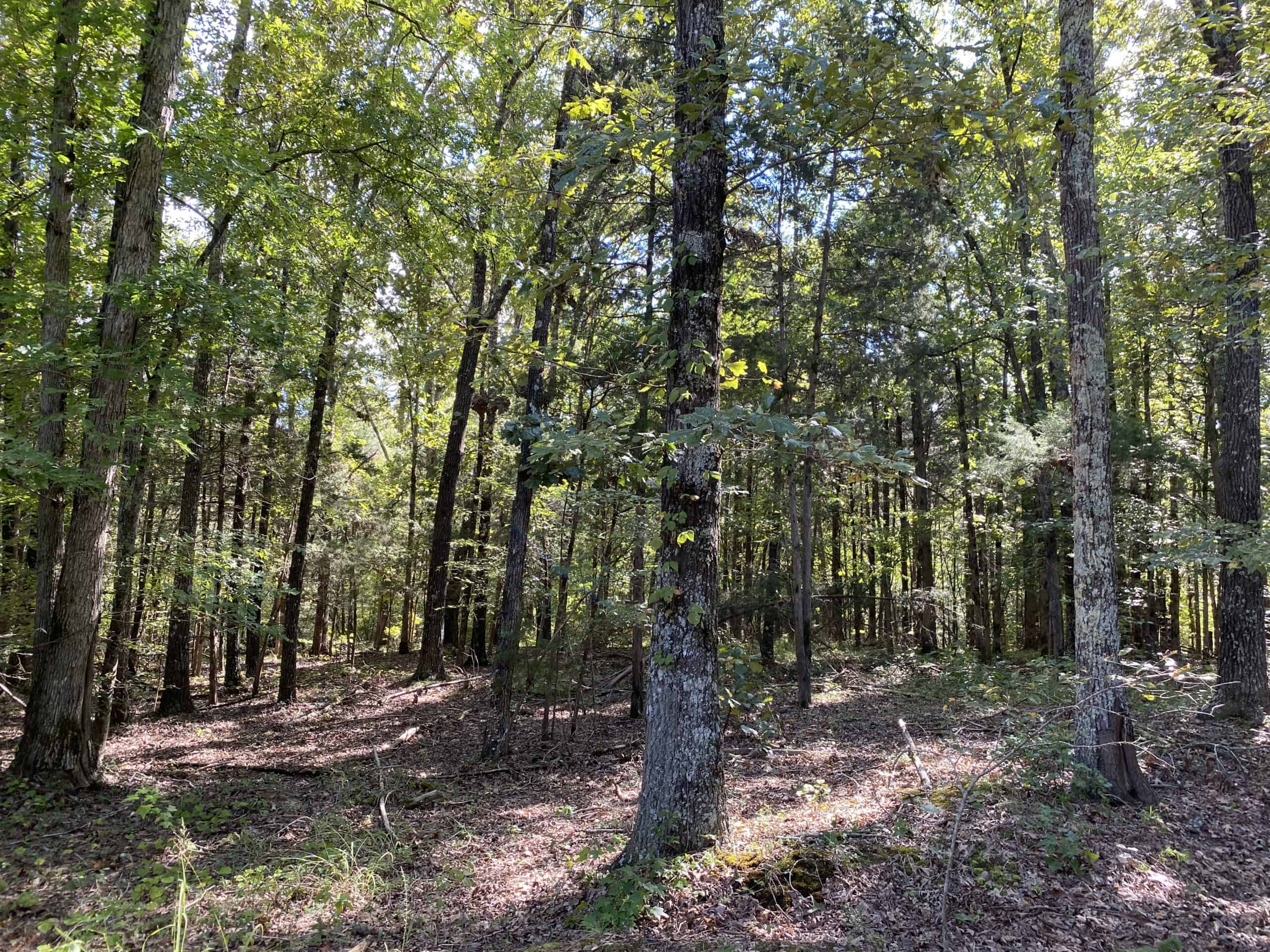 300 ACRE+/- PRIVATE ESTATE FOR SALE IN TN, 2 HOMES, LAKE