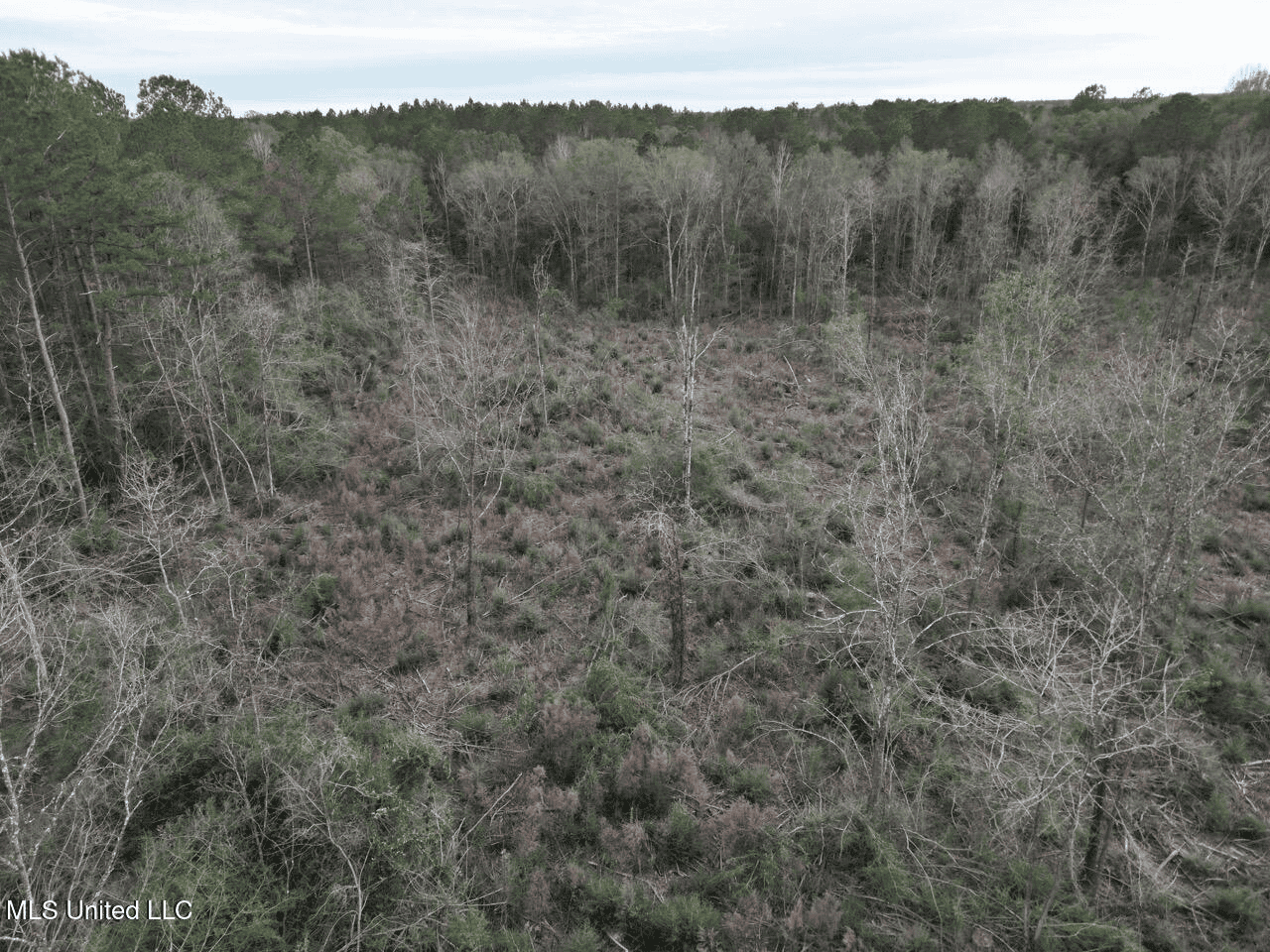 36 Acres in Pike County, Mississippi – Scenic Rural Retreat