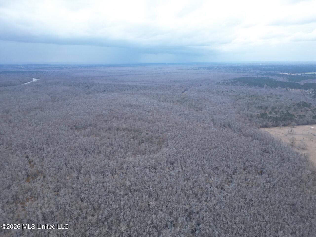 431± Acres with Calcasieu River Frontage in Calcasieu Parish