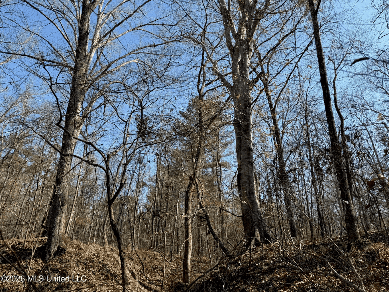 Land for Sale in Simpson County
