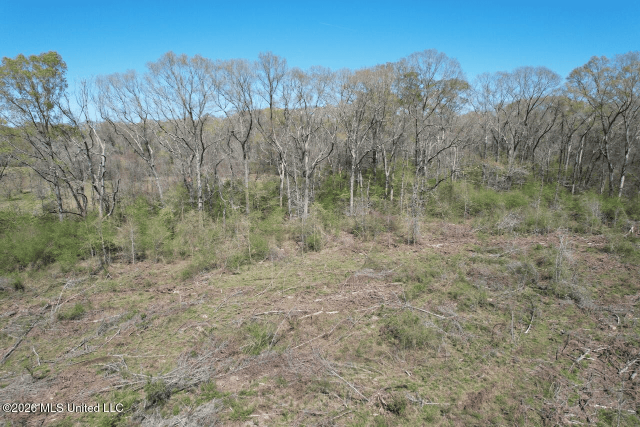 123± Acres Centreville MS on Chance Rd Amite County