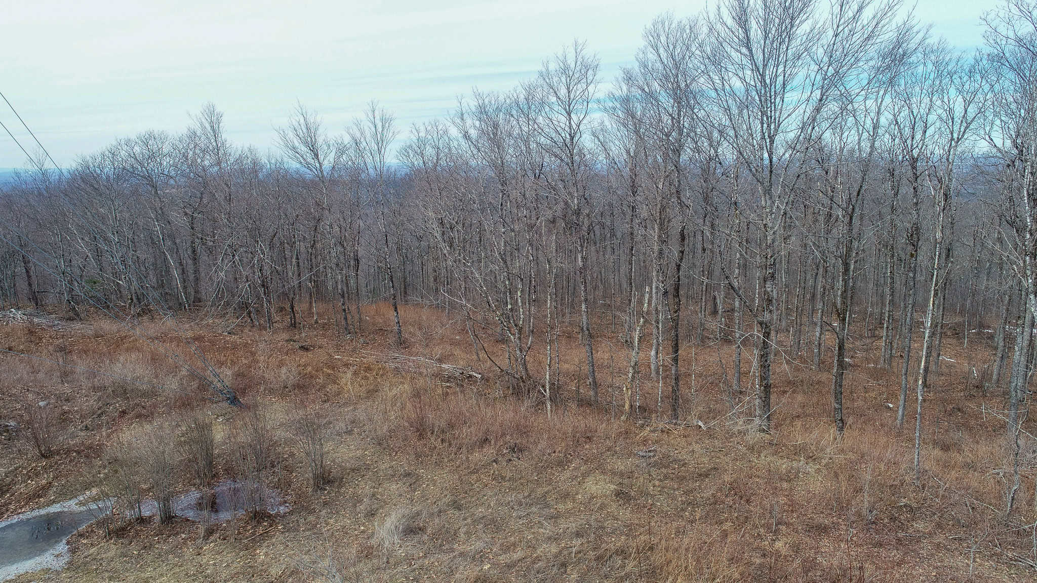 Expansive Mountain-View Acreage with Timber Value & Road Frontage