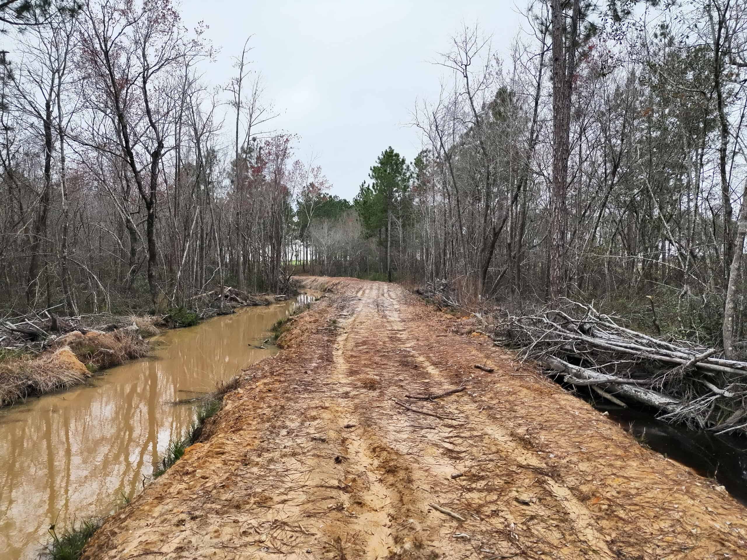 This 38 acres offers a hunting retreat or recreational getaway in Worth Cty GA