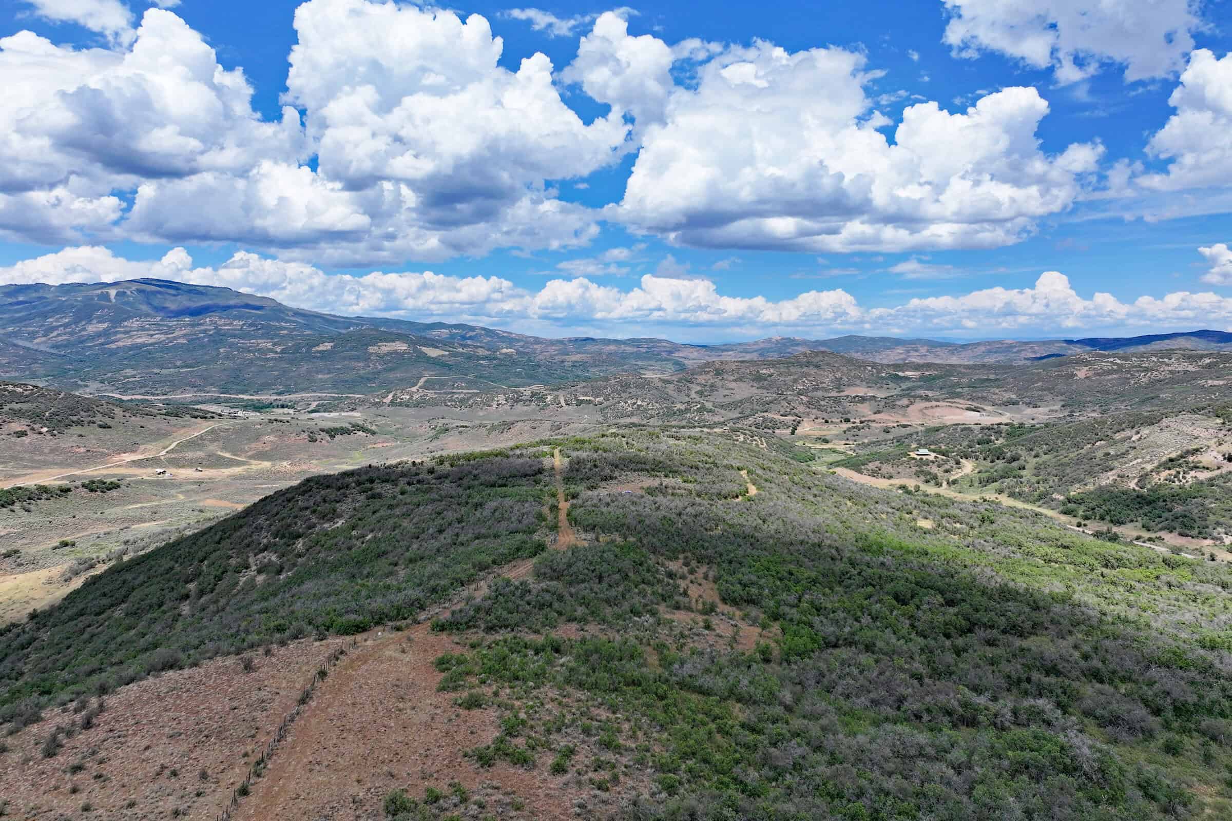 36 Acres in Harrison Creek, Collbran,  CO