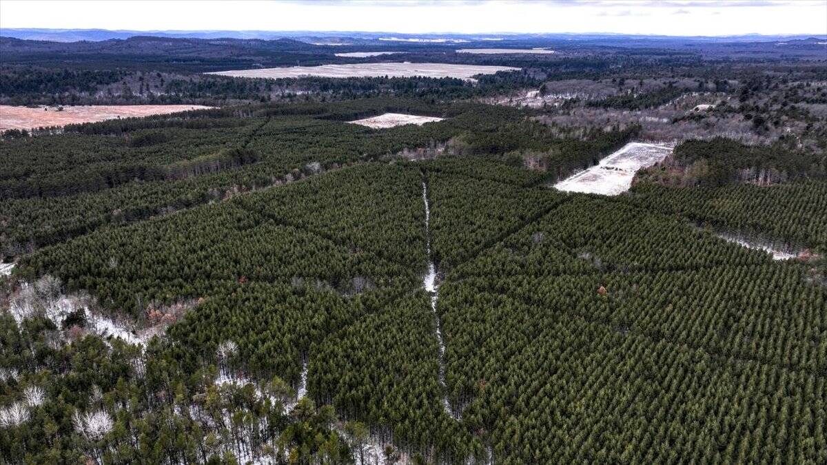 160± acre Monroe County property Located off dead end road,