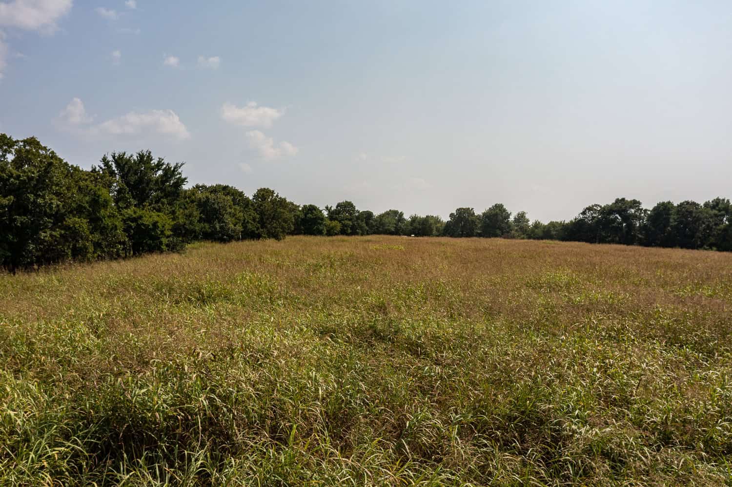 Catcher Ranch: 785 ± Acre Conservation Ranch & Trophy Whitetail Hunting Property Near Stuart, Oklahoma