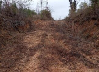 66.5 Acre Hunting Property For Sale Amite County Mississippi