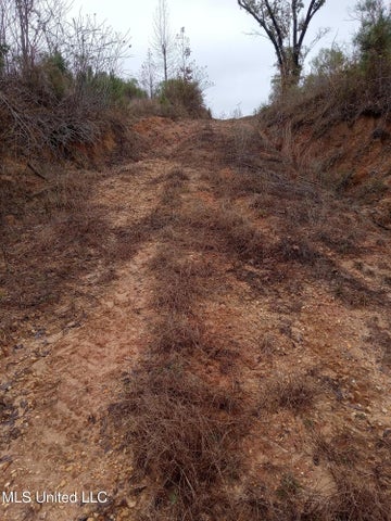66.5 Acre Hunting Property For Sale Amite County Mississippi