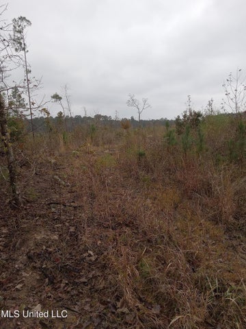 66.5 Acre Hunting Property For Sale Amite County Mississippi