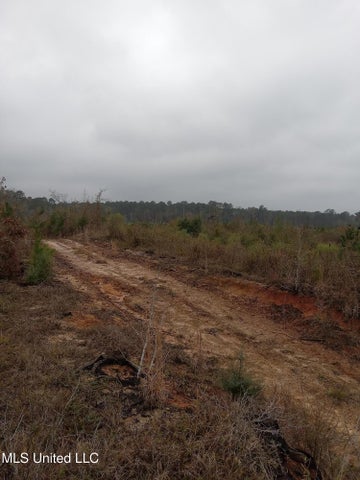 66.5 Acre Hunting Property For Sale Amite County Mississippi