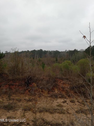 66.5 Acre Hunting Property For Sale Amite County Mississippi