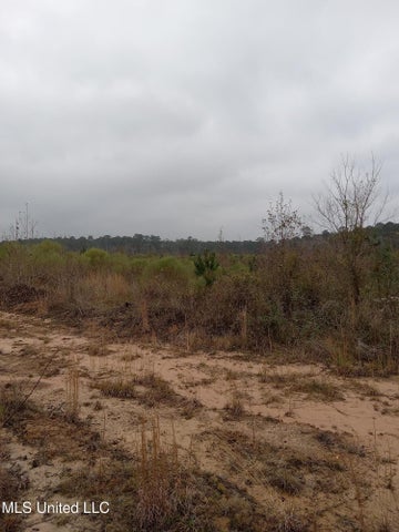 66.5 Acre Hunting Property For Sale Amite County Mississippi