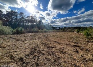 66.5 Acre Hunting Property For Sale Amite County Mississippi