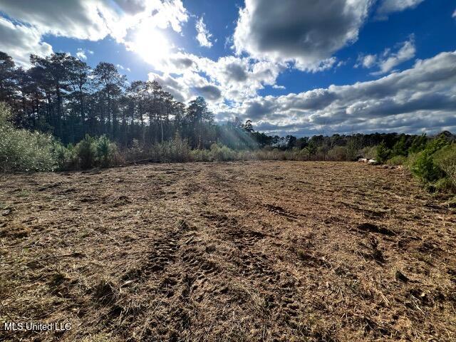 66.5 Acre Hunting Property For Sale Amite County Mississippi