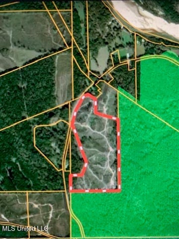 66.5 Acre Hunting Property For Sale Amite County Mississippi