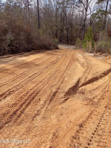 66.5 Acre Hunting Property For Sale Amite County Mississippi