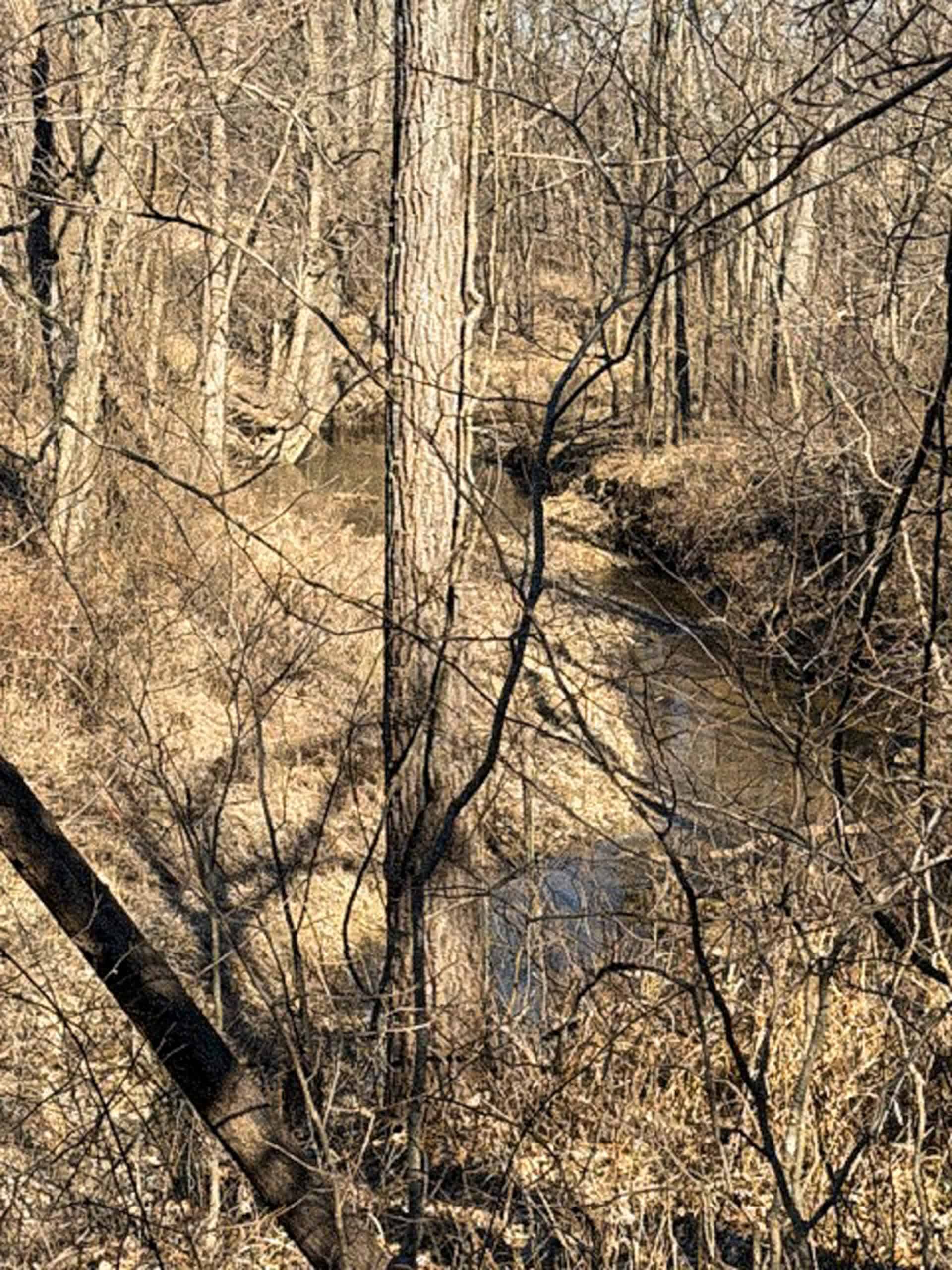 19± Acres of Land for Sale in Daviess County, Missouri