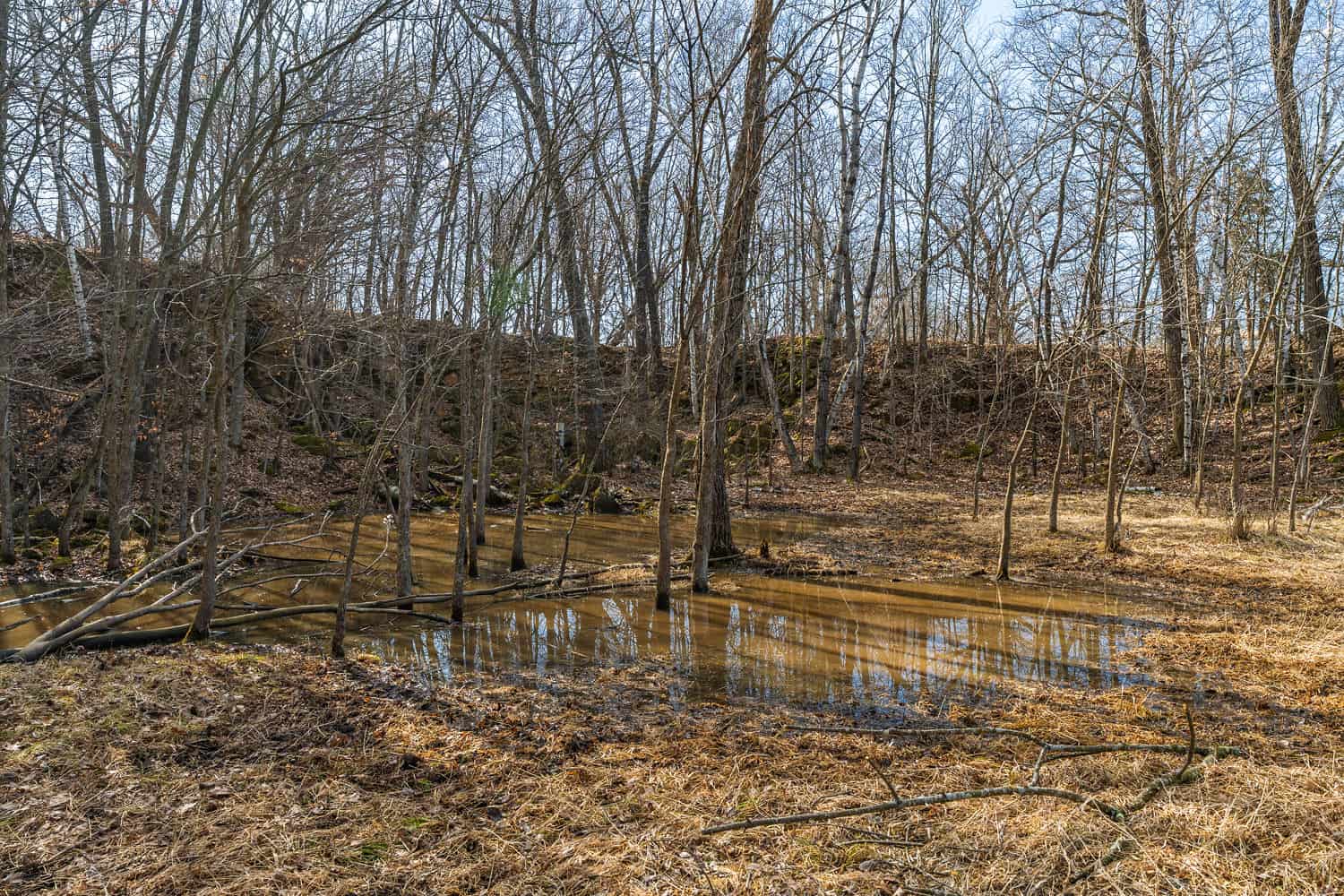 50 Acre Recreational -Hunting Land For Sale Richland County WI