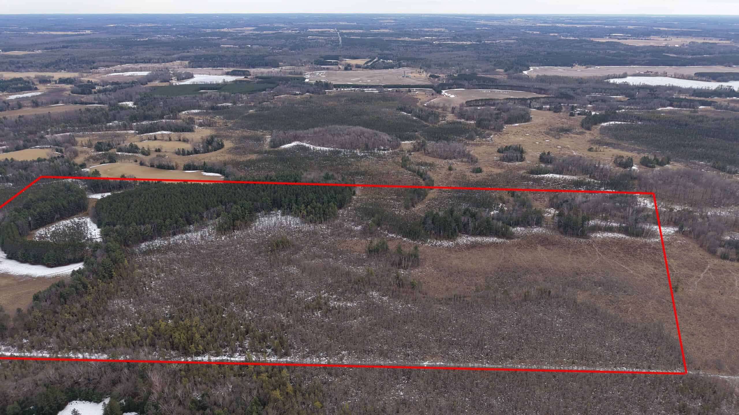 Portage County Wisconsin 80 Acres of Hunting Land for Sale