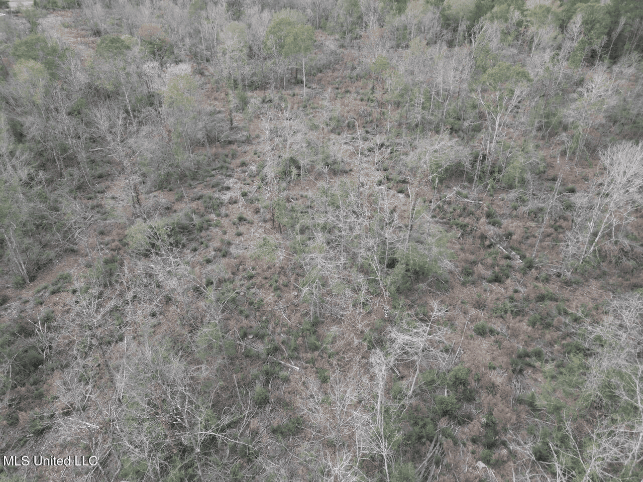 36 Acres in Pike County, Mississippi – Scenic Rural Retreat