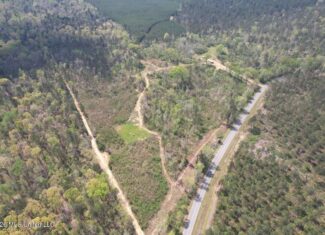 30± Acres in Jefferson County, MS Near Homochitto NF Hunting