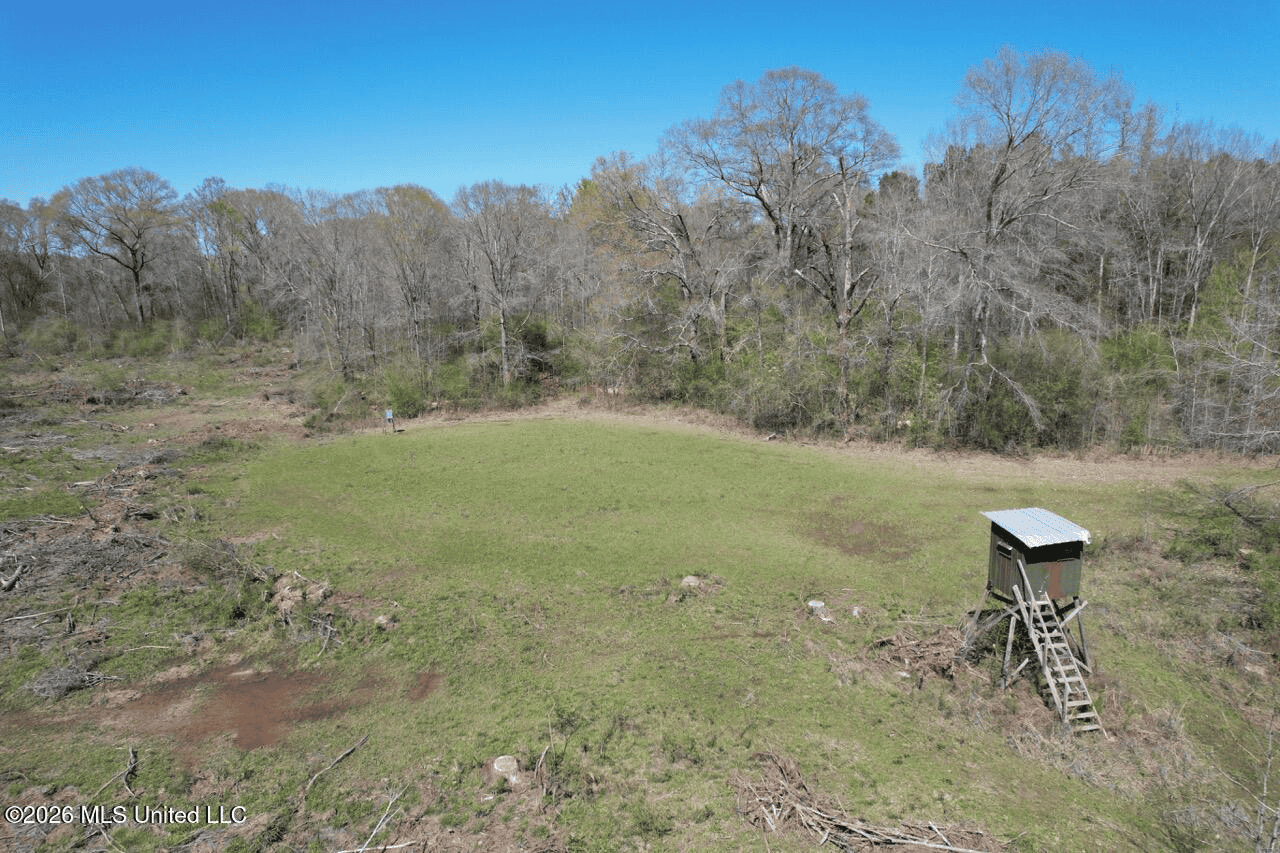 123± Acres Centreville MS on Chance Rd Amite County