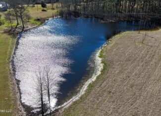 Amite County MS Turnkey 45 Acres