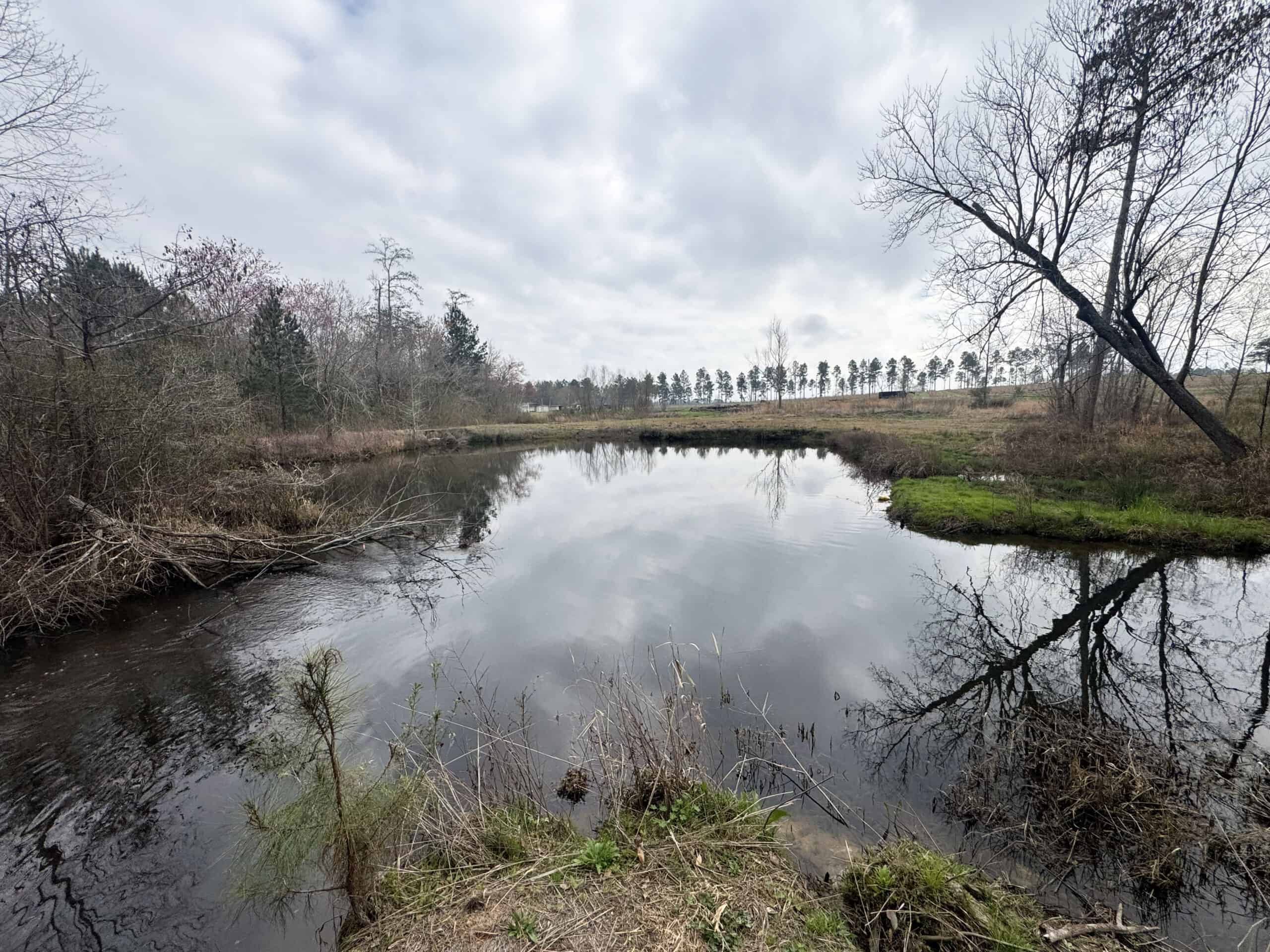 This 38 acres offers a hunting retreat or recreational getaway in Worth Cty GA