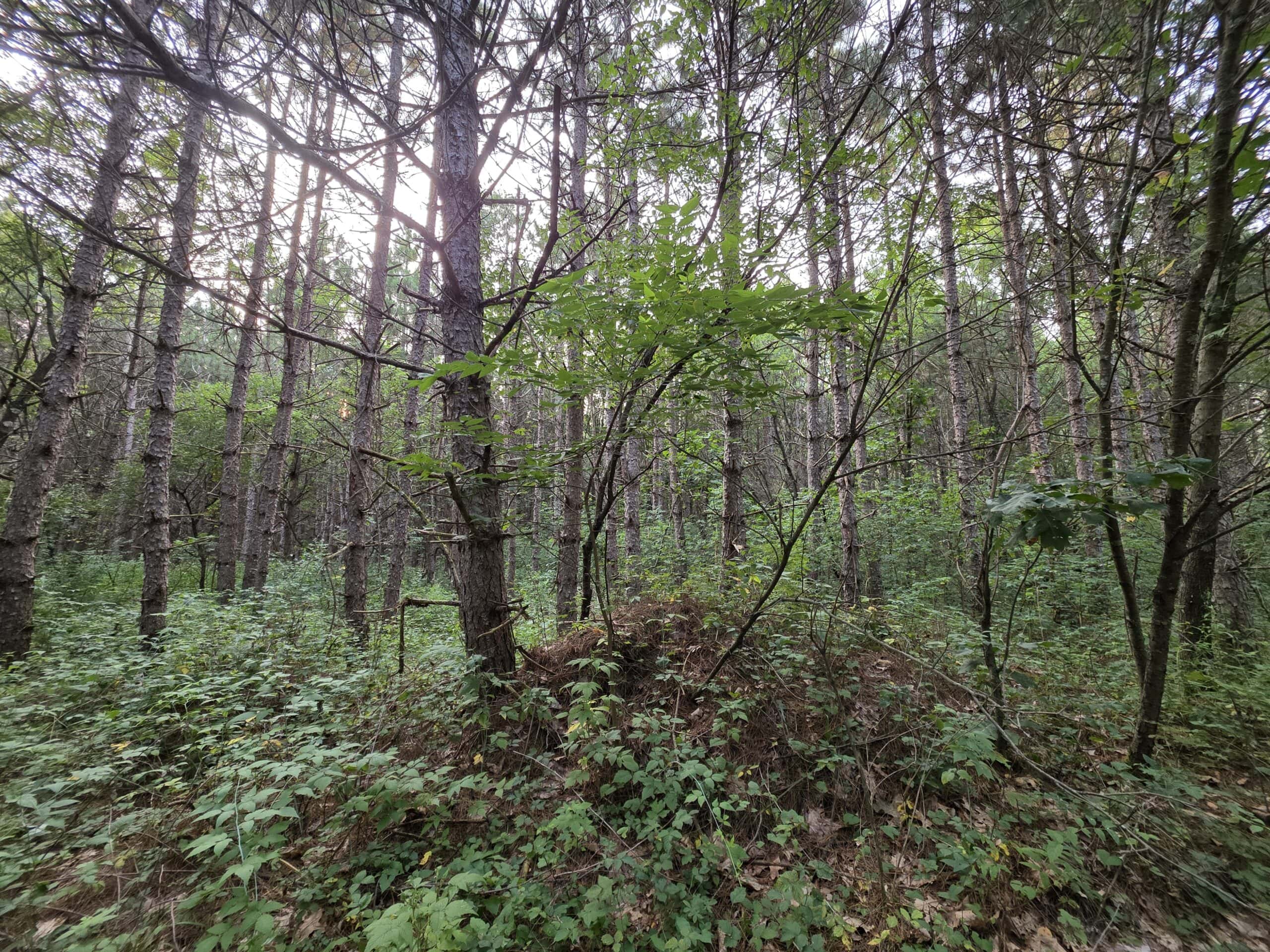 160± acre Monroe County property Located off dead end road,