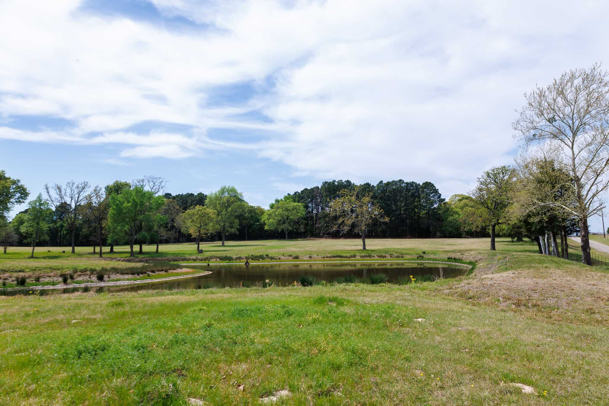 East Texas Recreational Ranch Near Ben Wheeler in Van Zandt County
