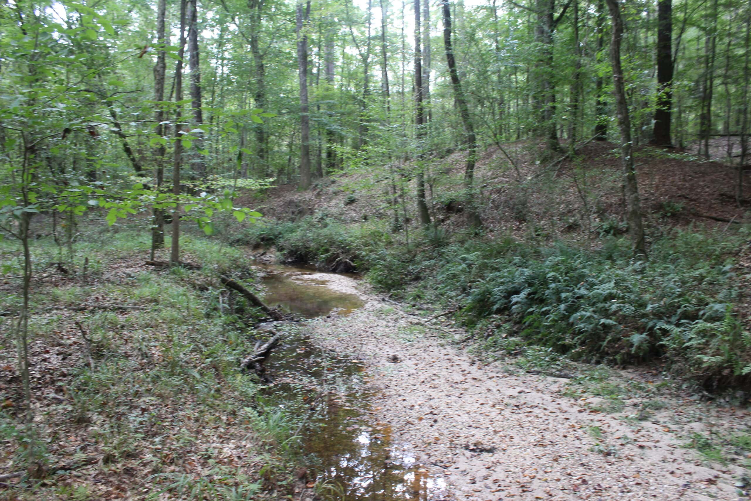 Creekfront Property For Sale with Beautiful Timber and Great Hunting Lincoln County Mississippi