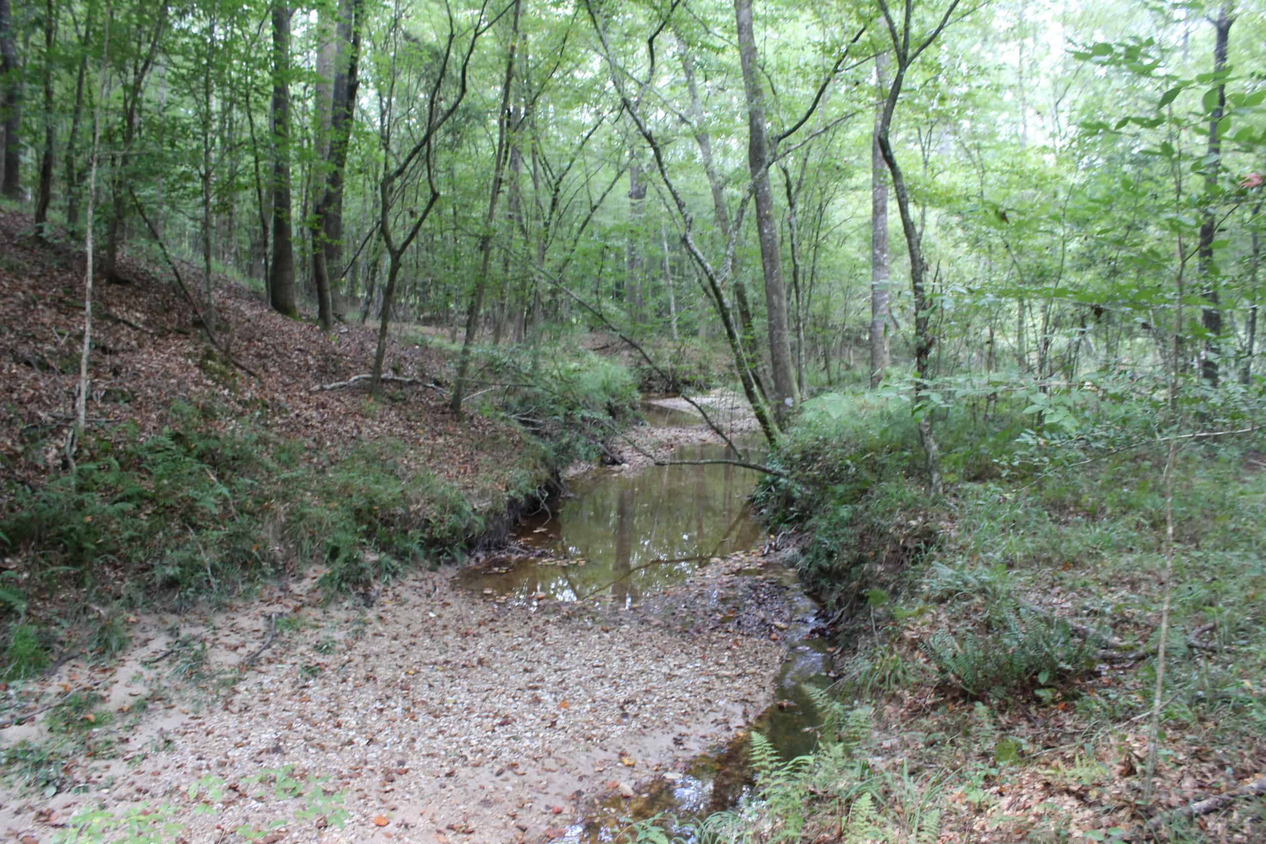Creekfront Property For Sale with Beautiful Timber and Great Hunting Lincoln County Mississippi