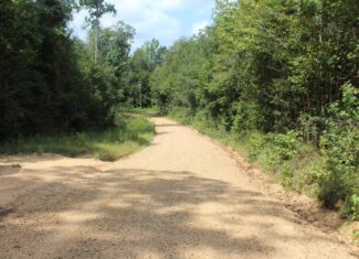 Wooded Land with Creek Frontage For Sale Lincoln County Mississippi