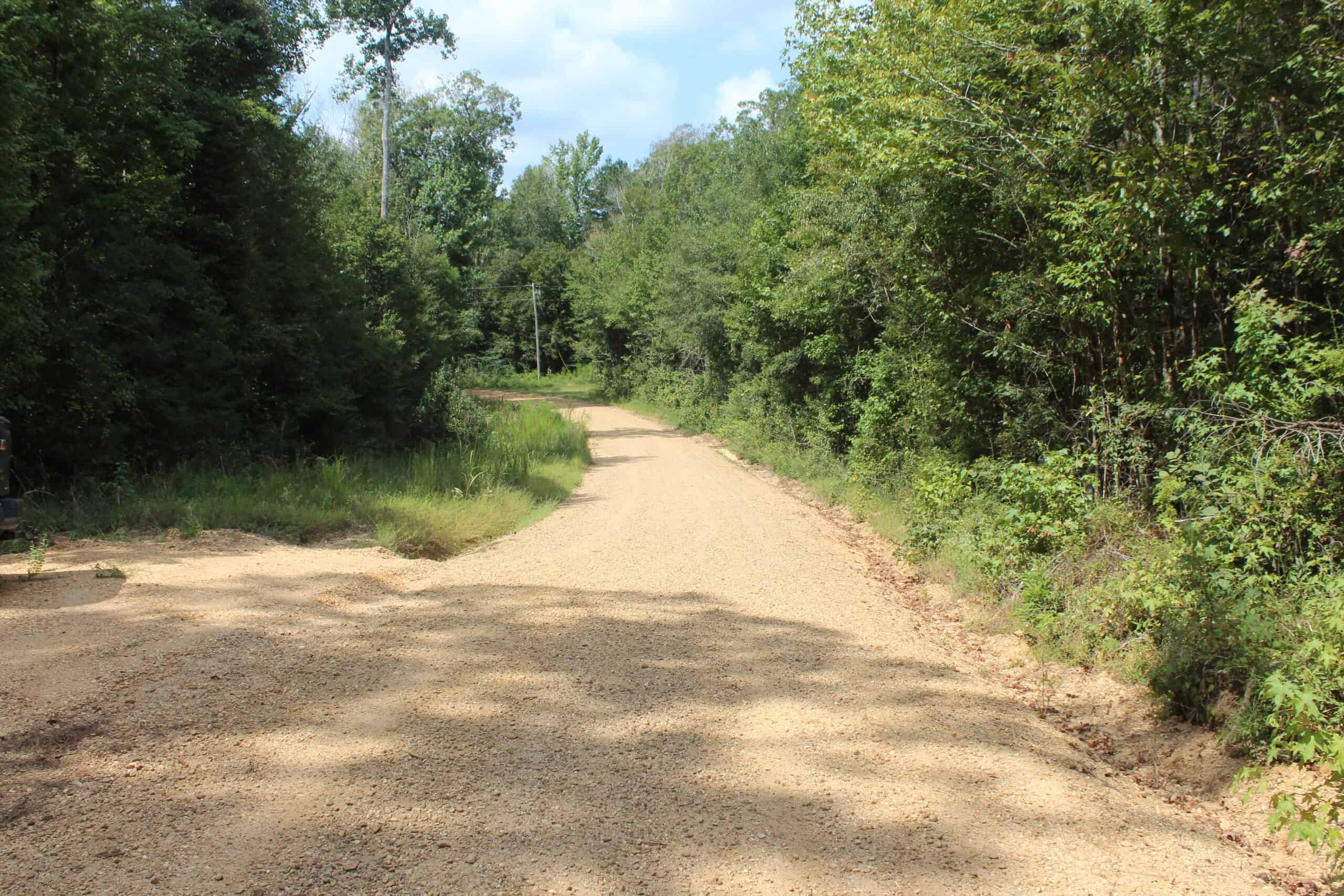 Wooded Land with Creek Frontage For Sale Lincoln County Mississippi