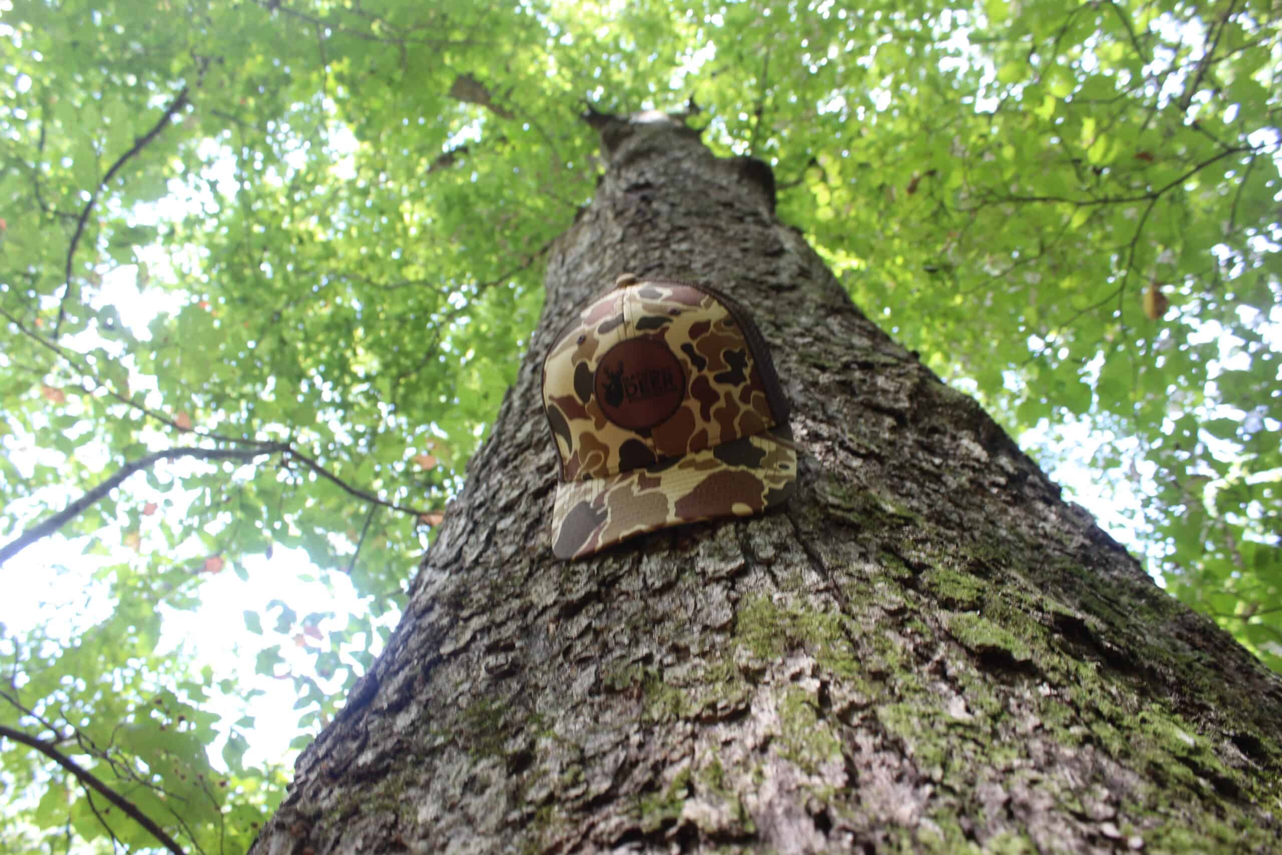 Creekfront Property For Sale with Beautiful Timber and Great Hunting Lincoln County Mississippi