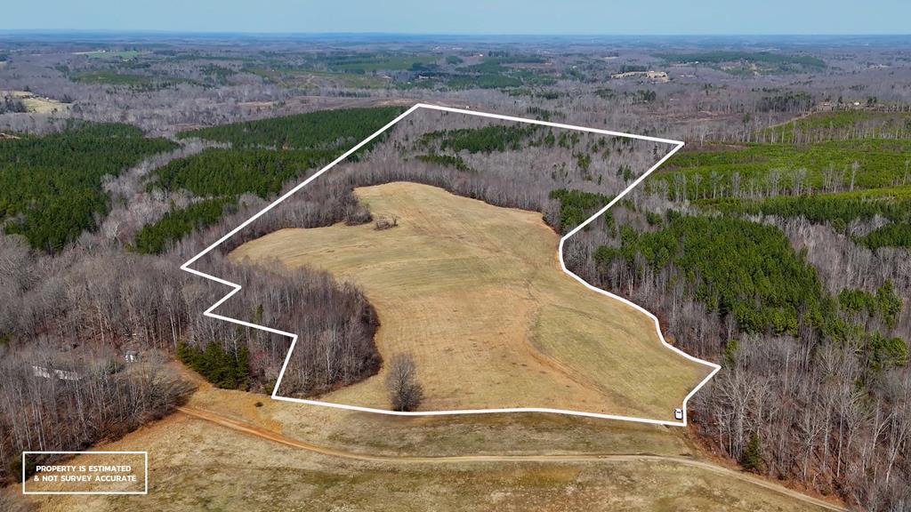 83.71± Acres of Prime Hunting & Recreation in Halifax County, VA