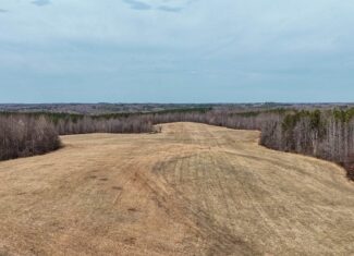 83.71± Acres of Prime Hunting & Recreation in Halifax County, VA